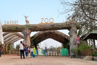 jungle safari raipur