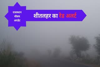 Red alert of cold wave in 11 districts in rajasthan