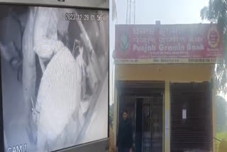 Punjab Gramin Bank Nushera and Banda Bank were targeted by thieves in pathankot