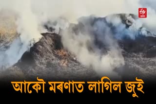 Massive Fire Breaks Out in Cachar