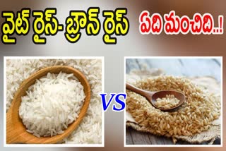 White Rice and Brown Rice Differences