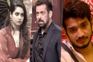 salman khan, ayesha khan, munawar faruqui, bigg boss 17