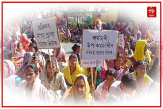 Workers protest at Kathnibari tea estate