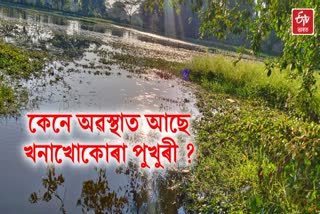 Poor condition of Sivasagar Khonakhokora pond