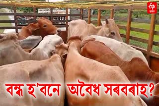 Jonai Sub-Division Students' Union stand against cattle smuggling at jonai