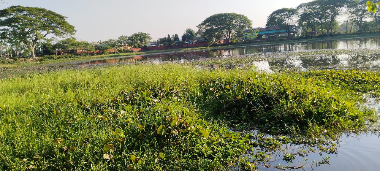 Poor condition of Sivasagar Khonakhokora pond