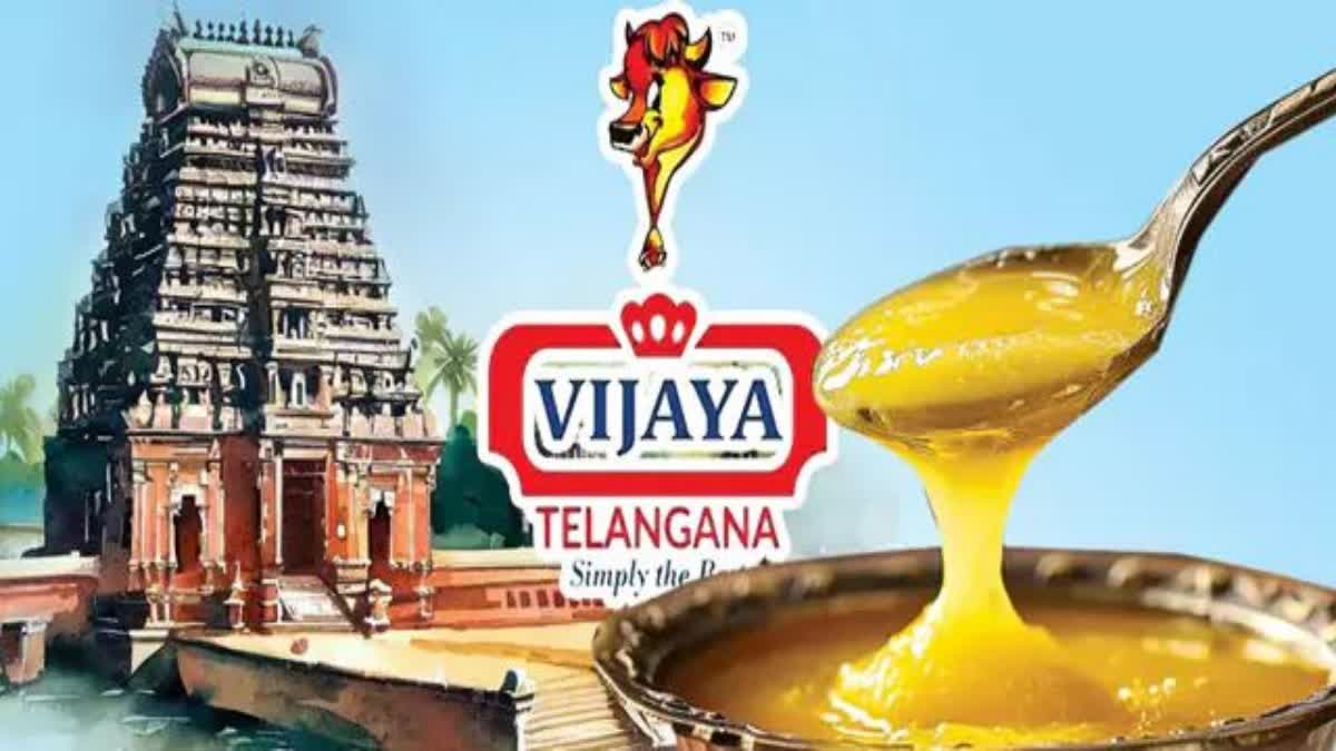 vijaya dairy ghee to all temples