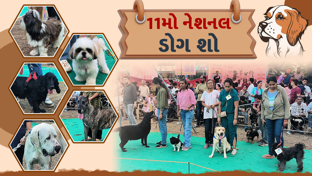 નવસારીમાં યોજાયો 11 મો ડોગ શો