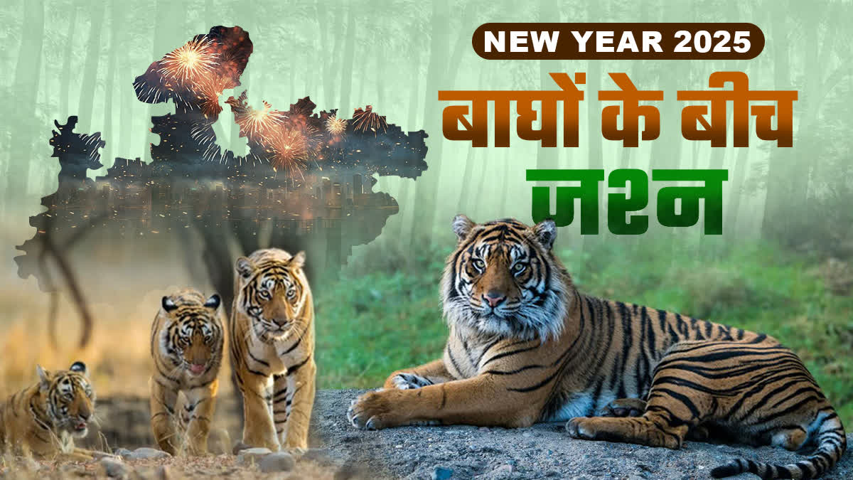 NEW YEAR CELEBRATION WITH TIGERS in MP