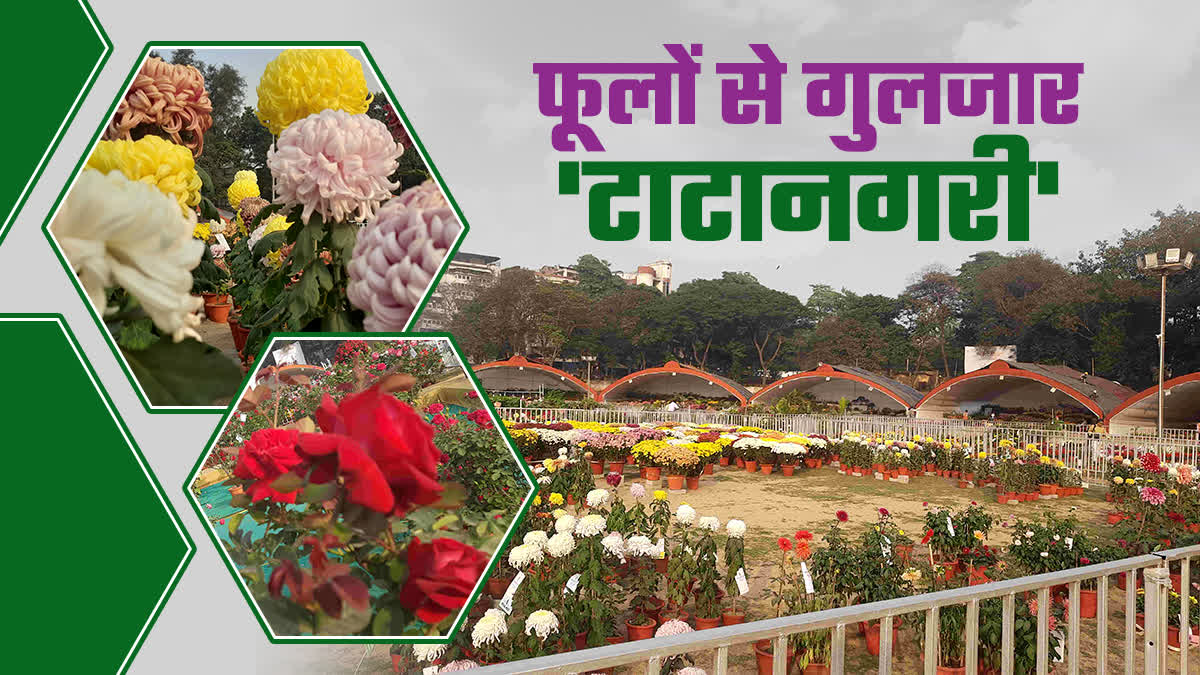 flower-show-organized-on-new-year-in-jamshedpur