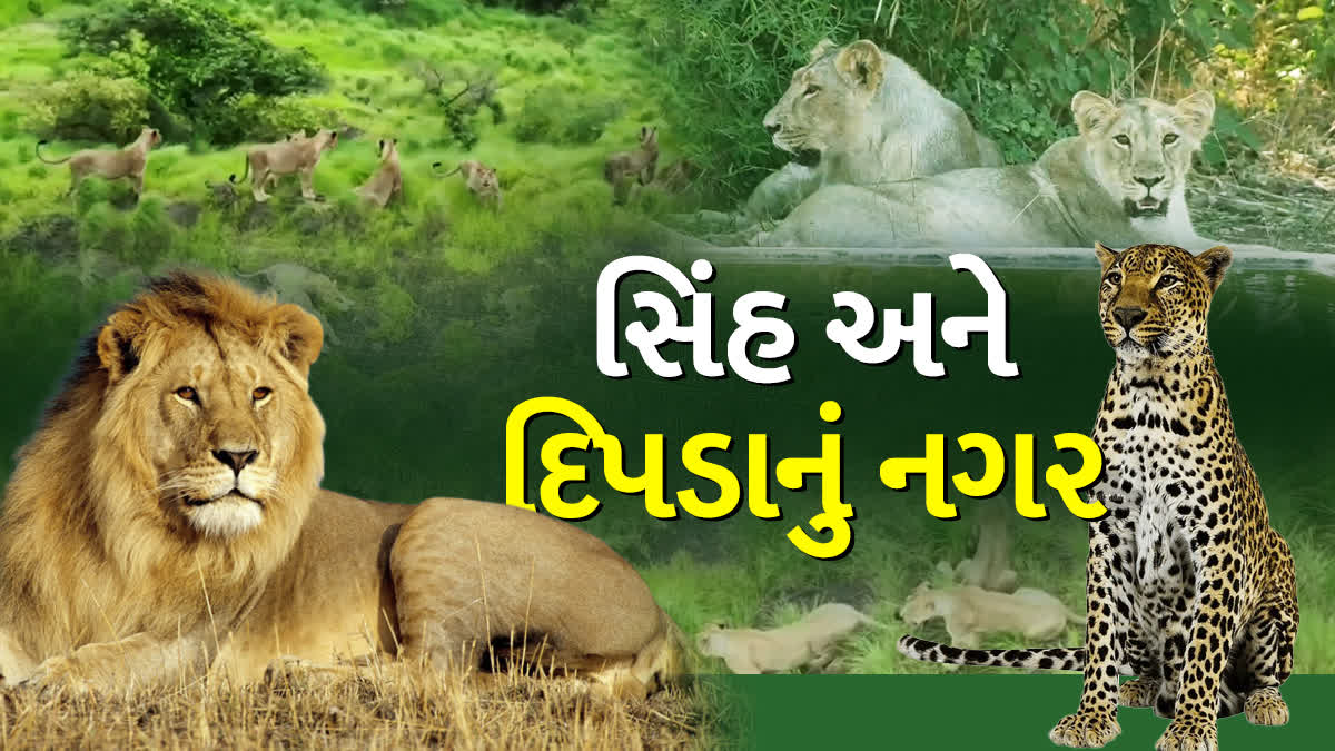 ભાવનગરમાં સિંહ અને દીપડા