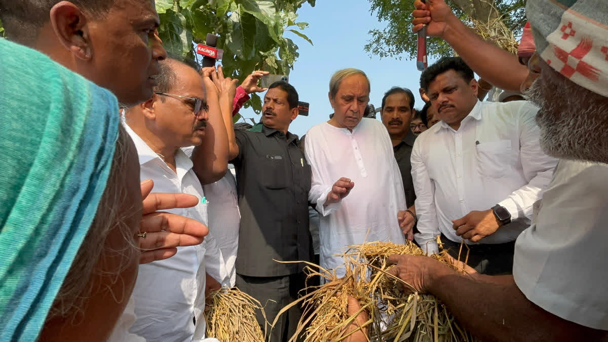 LOP Naveen Patnaik Visits Ganjam, Says Government Must Compensate Farmers At The Earliest