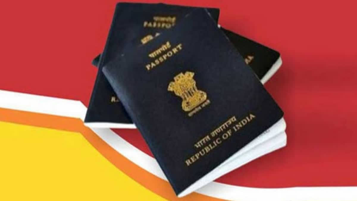 The issuance of Look Out Circulars (LOCs) against agents, who fled abroad or remain untraceable after committing passport and visa fraud have doubled in 2024, as compared to 2023, a senior police officer of the IGI Airport, Delhi, informed on Monday.