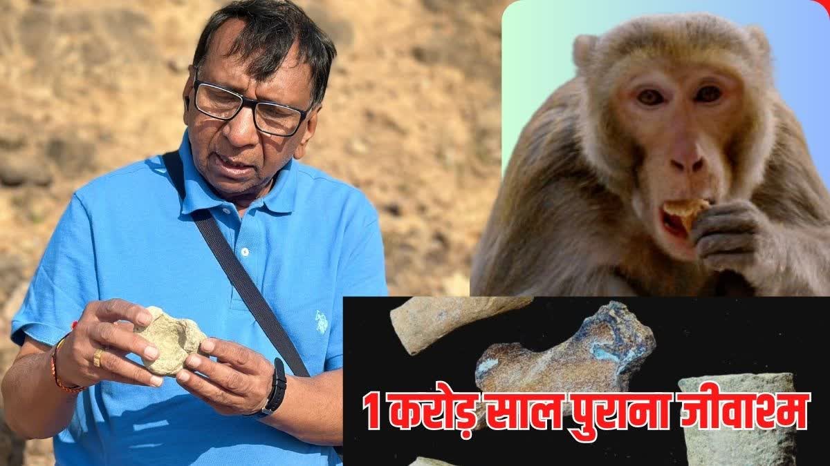 10.5 million year old monkey fossil found in Kutch