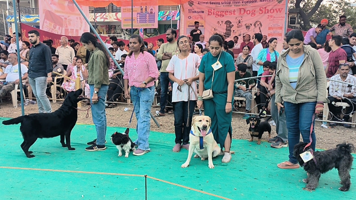 25થી વધુ પ્રજાતિના શ્વાન