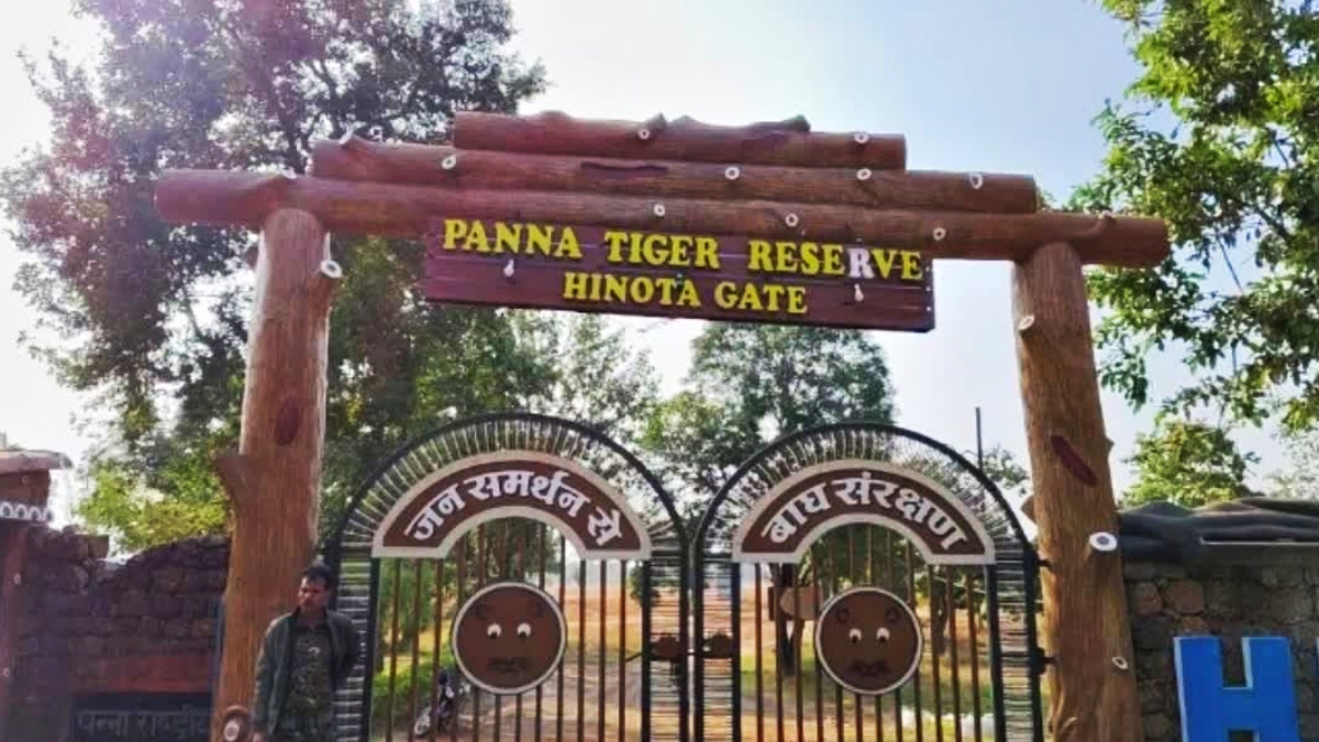 NEW year in panna tiger reserve