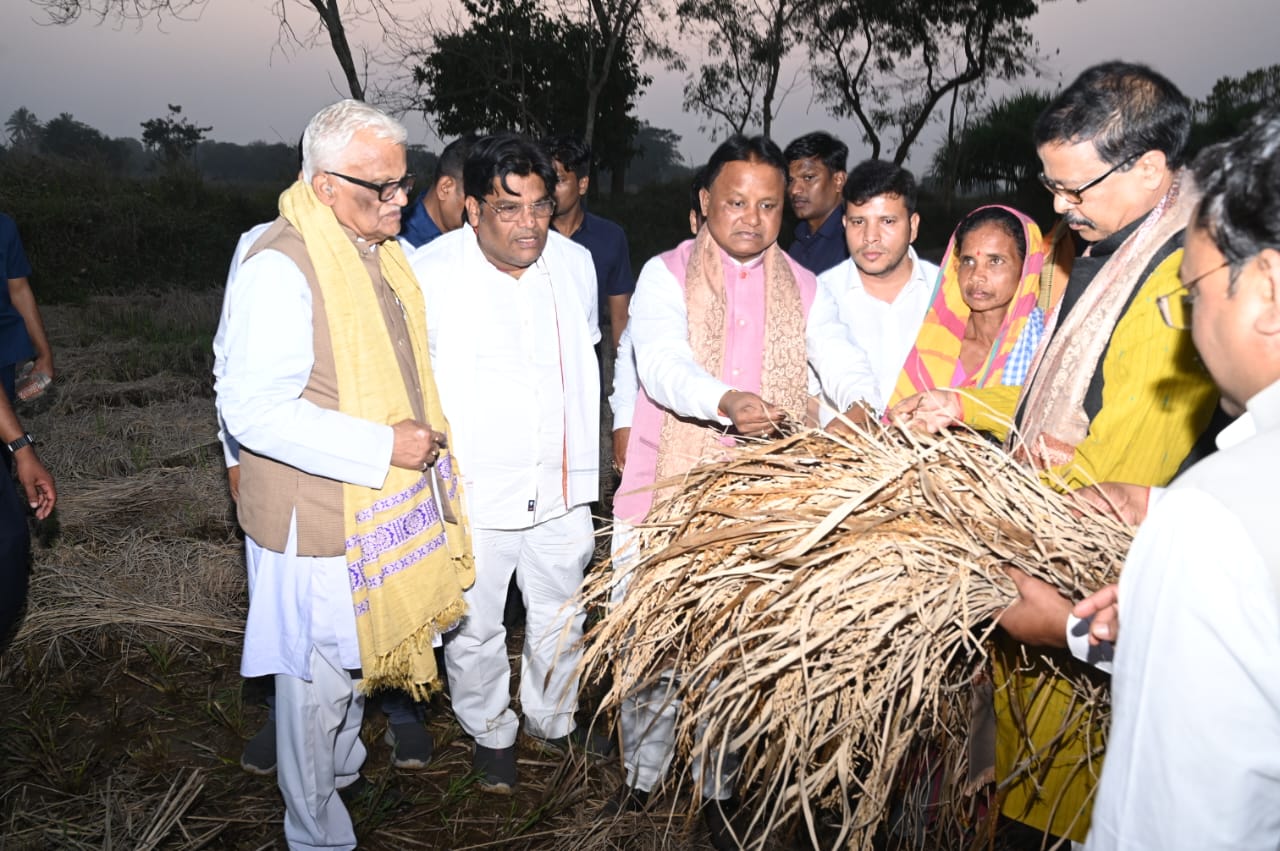 Unseasonal Rains Devastate Odisha Farmers, CM Assures Relief