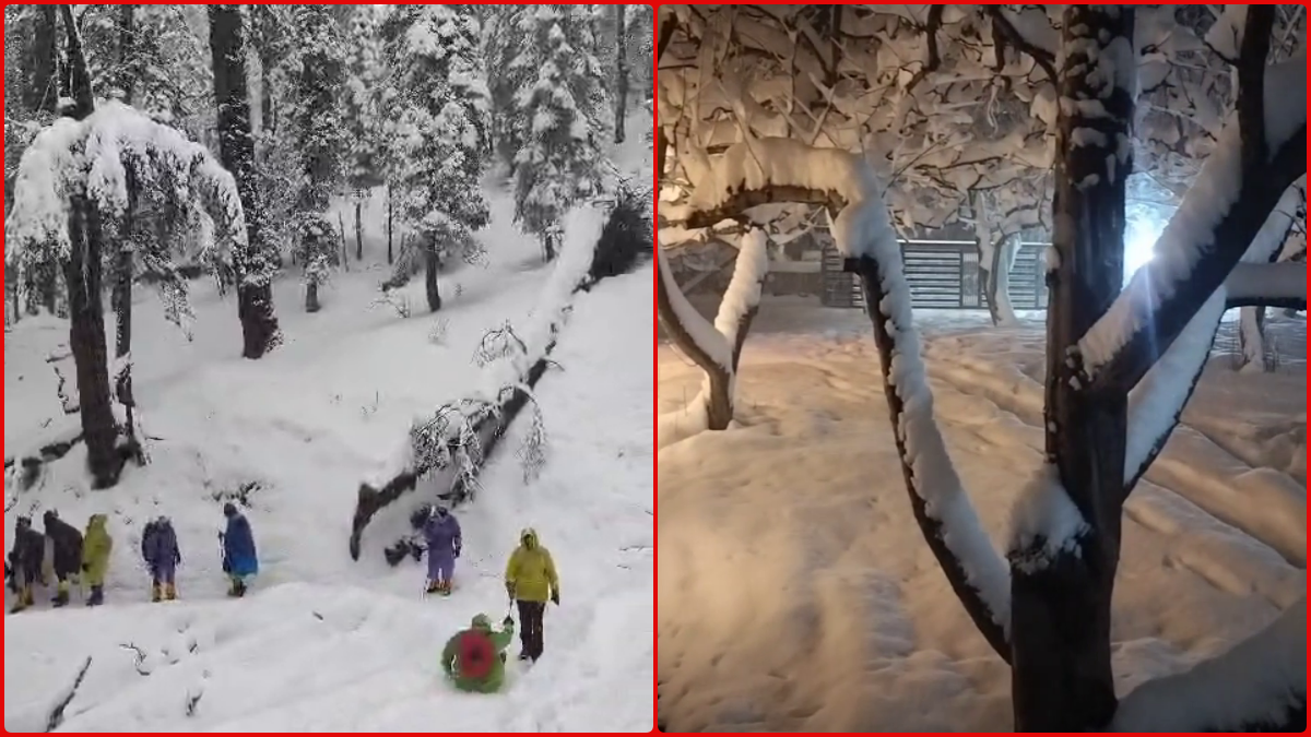 SNOWFALL IN UTTARAKHAND