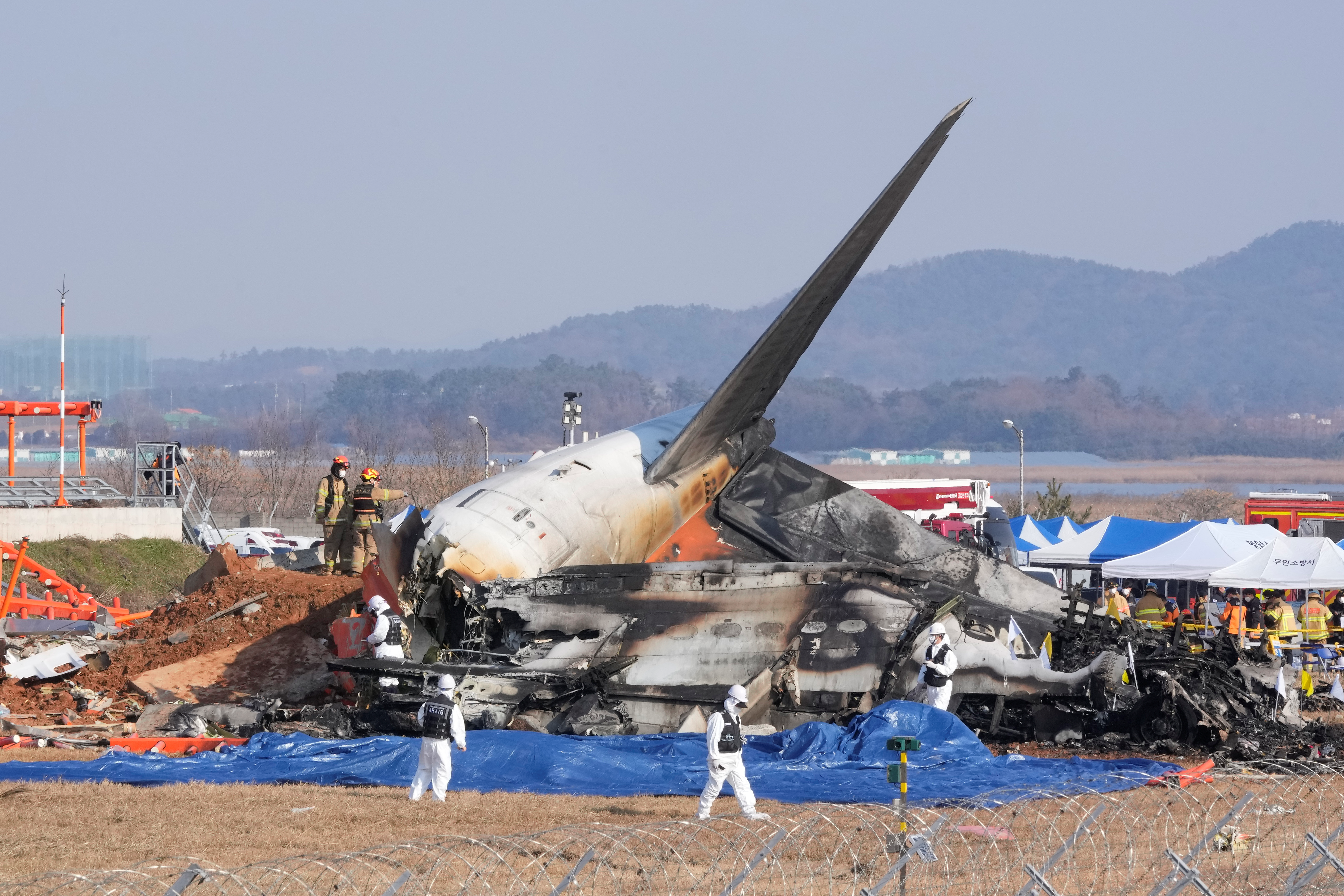 PLANE CRASH CAUSE  SOUTH KOREA PLANE  ദക്ഷിണ കൊറിയൻ വിമാന ദുരന്തം  വിമാന ദുരന്തം കാരണം