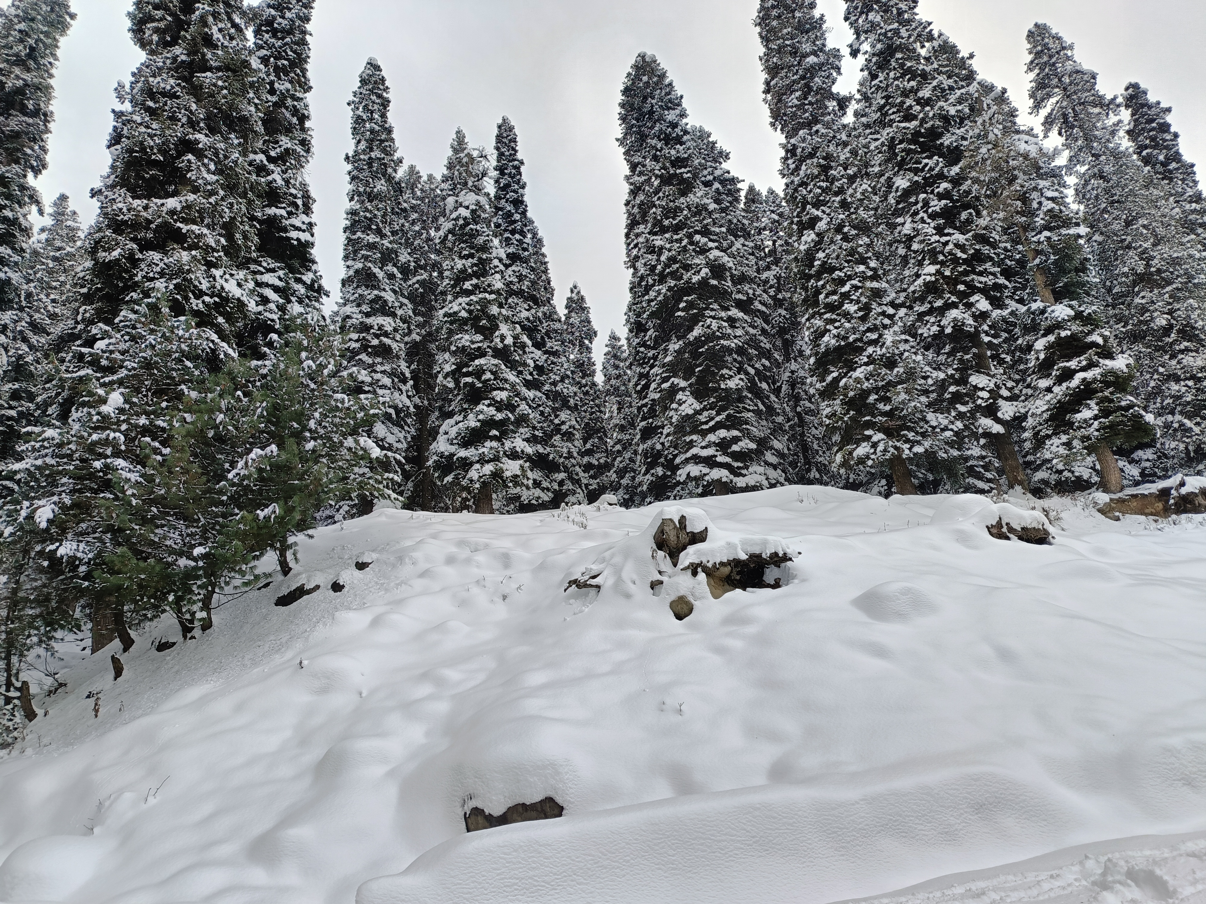 KASHMIR SNOWFALL  Heerpora to Peer Ki Gali  historic first snowfall  കശ്‌മീര്‍ മഞ്ഞുവീഴ്‌ച