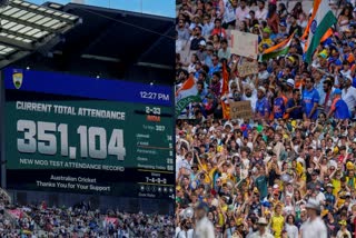 Boxing Test Attendance