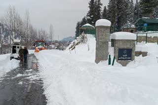 jammu kashmir snowfall