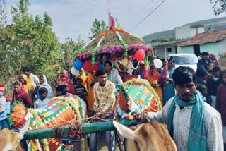 CHHINDWARA TEACHER UNIQUE FAREWELL