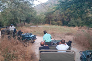 Wildlife Tourism in Jaipur