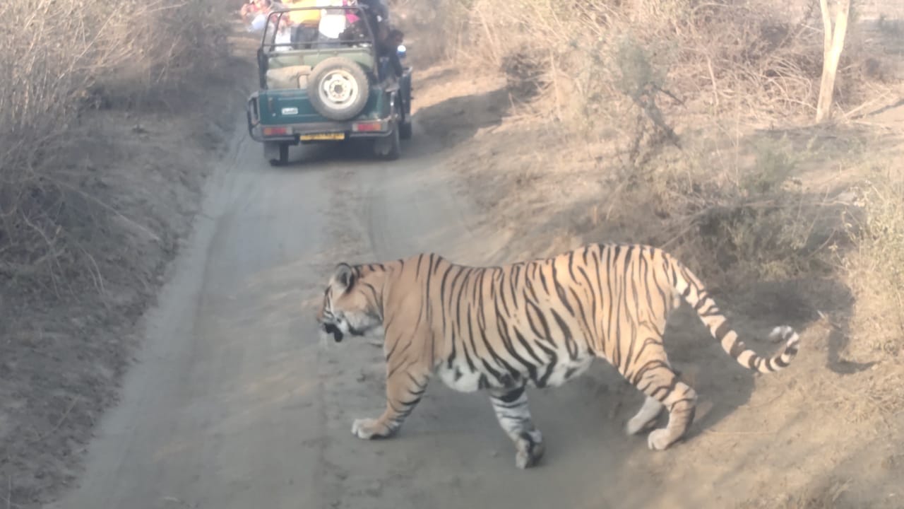 Sariska Tiger Reserve