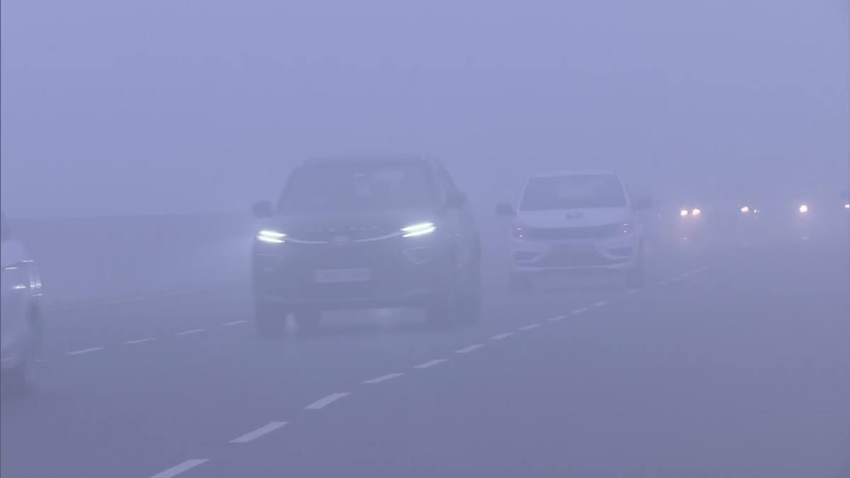 The national capital as well as the entire North Indian belt continued to be in the grip of severe cold and fog on Wednesday, with over 50 flights and 23 trains being delayed and 3 flights being diverted.