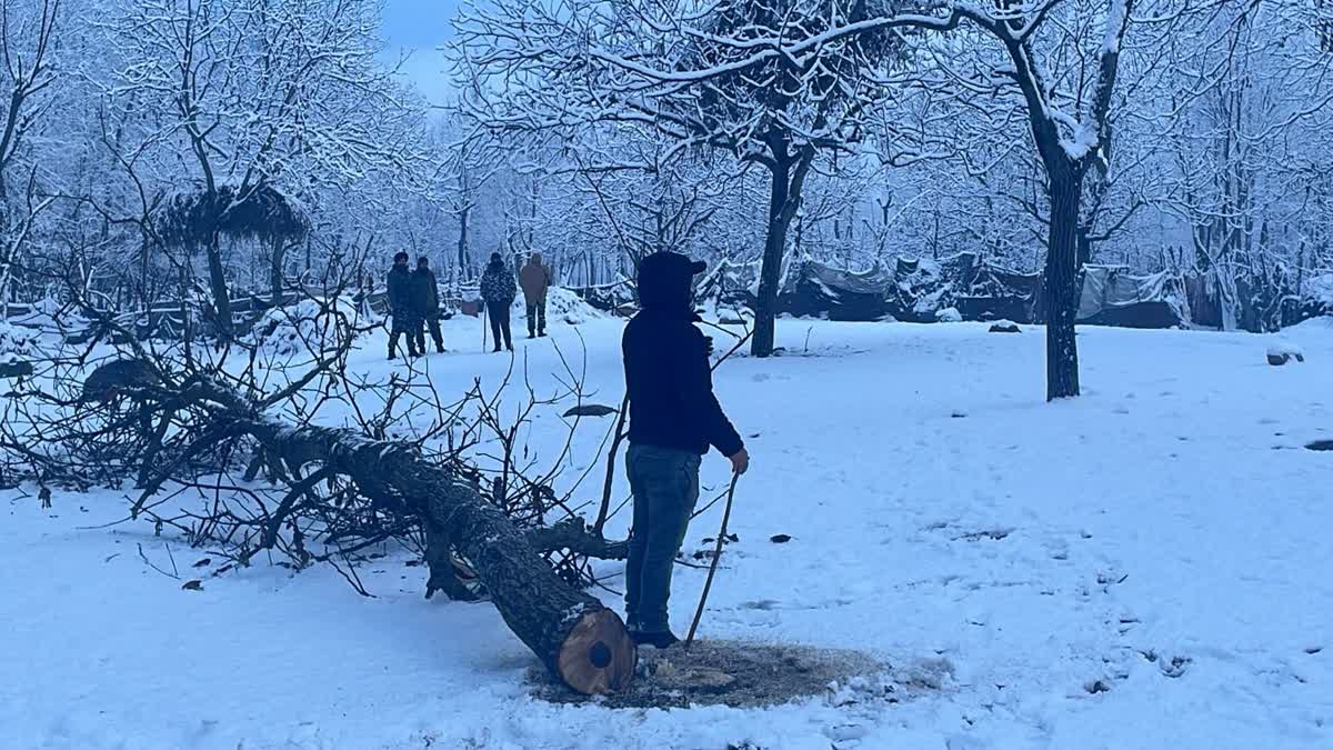 اننت ناگ (جموں کشمیر) : جنوبی کشمیر کے ضلع اننت ناگ کے لارنو علاقے میں گزشتہ ماہ ضلع انتظامیہ کی جانب سے بلاک دیوس کا انعقاد کیا گیا تھا جس میں مقامی نوجوانوں نے ضلع کے ترقیاتی کمشنر سے مطالبہ کیا تھا کہ علاقے میں نوجوانوں کو کھیل سرگرمیوں کی غرض سے ایک کھیل کا میدان فراہم کیا جائے تاکہ مقامی نوجوان پڑھائی لکھائی کے ساتھ ساتھ کھیل کود کی سرگرمیوں میں اپنی دلچسپی دکھا کر اپنے آپ کو تندرست رک سکیں۔ چنانچہ ڈی سی اننت ناگ نے معاملے کا حل تلاش کرنے کی غرض سے فوری طور احکامات جاری کیے، جس کا نتیجہ آج صبح لارنو میں دیکھنے کو ملا۔  سب ضلع کوکرناگ کے لارنو تحصیل میں ڈپٹی کمشنر کی ہدایت پر غیر قانونی طور قبضہ میں لی گئی کاہچرائی کو بازیاب کیا گیا، اس دوران کئی ڈھانچوں کو منہدم کیا گیا۔ تحصیل انتظامیہ کے مطابق علاقے میں 19.5 کنال اراضی کو غیر قانونی قابضین سے بازیاب کیا گیا، جسے اب علاقے کے نوجوانوں کے لئے استعمال میں لایا جائے گا۔ حکام نے بتایا کہ غیر قانونی طریقے سے کاہچرائی کو ہڑپنے کے سلسلے میں ڈپٹی کمشنر اننت ناگ کی جانب سے جاری کردہ ہدایات کے پیش نظر محکمہ مال، جموں کشمیر پولیس اور محکمہ دیہی ترقی کی ٹیم کے اشتراک سے تجاوزات کو منہدم کرنے کی مہم چلائی گئی، اور اس مرحلے کے دوران 19 کنال سے زائد کاہچرائی کو بازیاب کیا گیا۔  تفصیلات فراہم کرتے ہوئے تحصیلدار لارنو، سید معیظ قادری نے بتایا کہ 19.5 کنال کی اراضی کو تجاوزات سے آزاد کیا گیا جسے اب کھیل سرگرمیوں کے لیے استعمال میں لایا جائے گا۔ انہوں نے مزید کہا کہ کھیل کے میدان کی ترقی نہ صرف علاقے کے لیے ایک اثاثہ ہوگی بلکہ نوجوانوں کو کھیلوں سرگرمیوں میں شامل کرکے ان کی توانائی کو مثبت طریقے سے استعمال کرنے کا ذریعہ بھی بنے گی۔ مقامی نوجوانوں نے موسم کی خراب صورتحال کے باوجود انتظامیہ کی کوشش کو کافی سراہا۔    برف باری کے باوجود لارنو، کوکرناگ میں انہدامی کارروائی قریب بیس کنال اراضی کو کیا گیا بازیاب محکمہ مال اور پولیس کی مشترکہ کارروائی