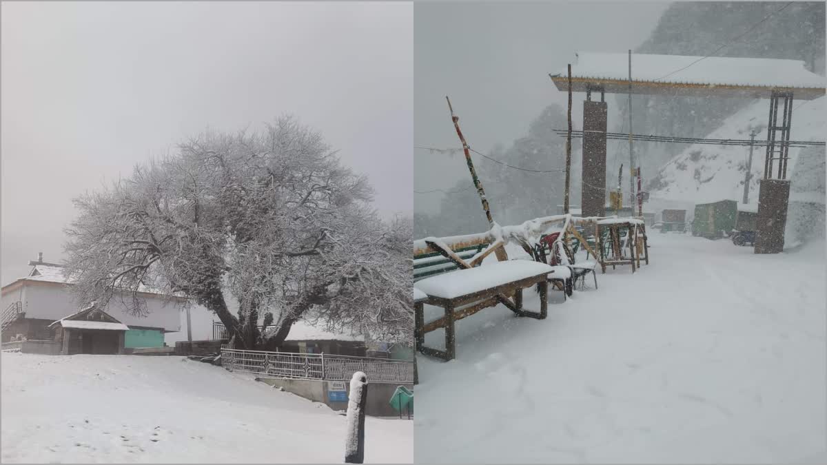 Himachal Snowfall