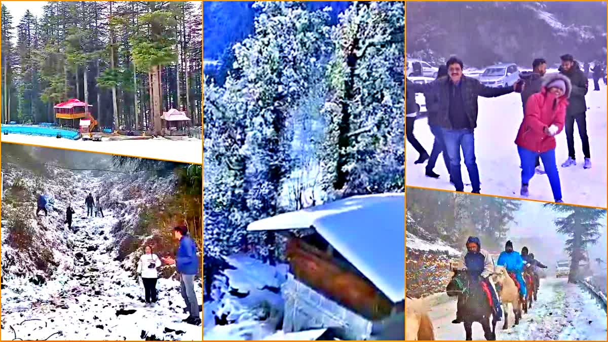 Himachal Snowfall