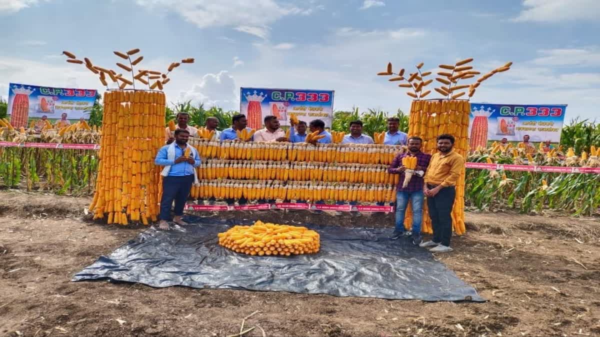 ethanol made from maize waste