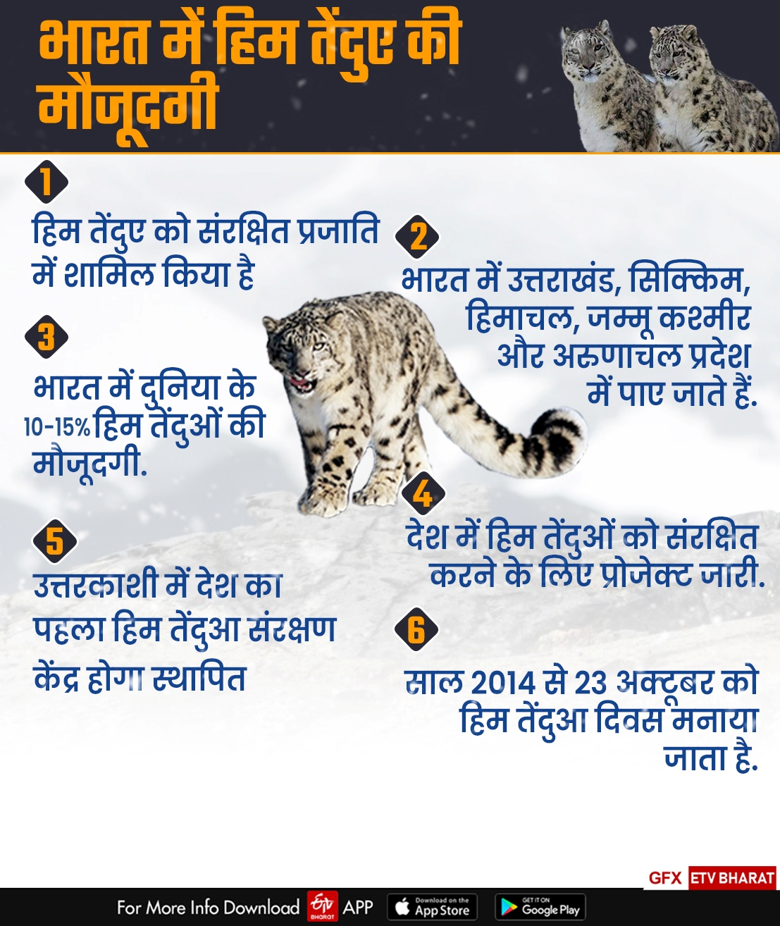 Snow Leopards in Uttarakhand