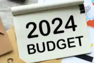 Interim Budget 2024