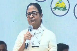 Mamata Banerjee