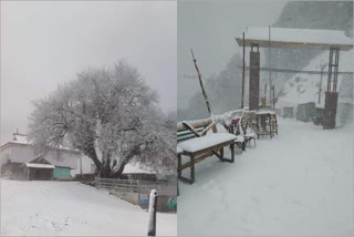 Himachal Snowfall