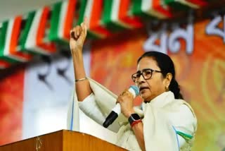 CM Mamata Banerjee-reiterates-tmc-will-fight-alone-in-bengal