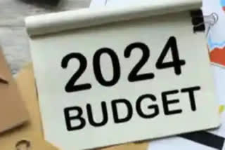 Finance Minister Nirmala Sitharaman  Union Interim Budget 2024  Lok Sabha  കേന്ദ്ര ഇടക്കാല ബജറ്റ് 2024  കേന്ദ്ര ധനമന്ത്രി നിർമല സീതാരാമൻ
