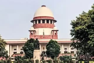 Supreme Court,  government SLP rejected