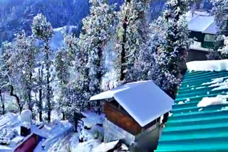 Himachal Snowfall