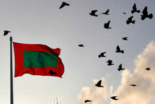 Maldivian Flag. (File Photo/Reuters)