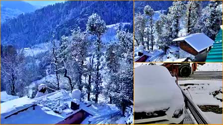 Snowfall In Kufri And Narkanda