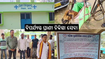 ୧୪ ଦିନରେ ପ୍ରାଣୀ ଚିକିତ୍ସକମାନଙ୍କ ଆନ୍ଦୋଳନ ; ନିଆଳିରେ ବିପର୍ଯ୍ୟସ୍ତ ପ୍ରାଣୀ ଚିକିତ୍ସା ସେବା