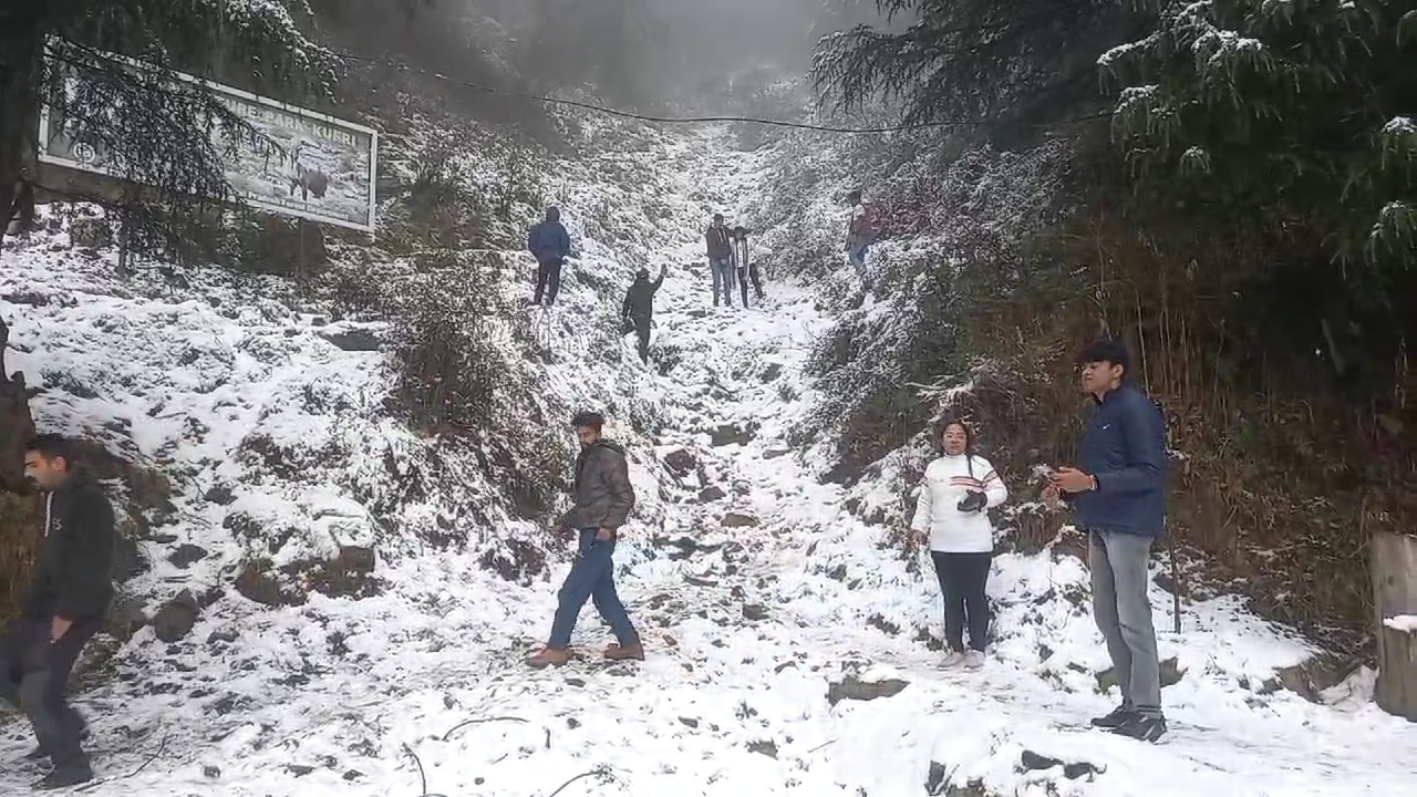 Snowfall In Kufri And Narkanda