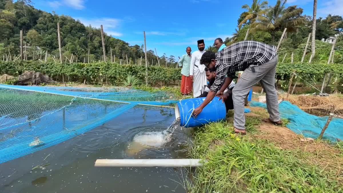 IDUKKI RAJAKUMARI VARAL FARM  PISCICULTURE IDUKKI  YOUNGSTERS MALAPPURAM PISCICULTURE  MALAPPURAM NATIVE VARAL FARM IDUKKI