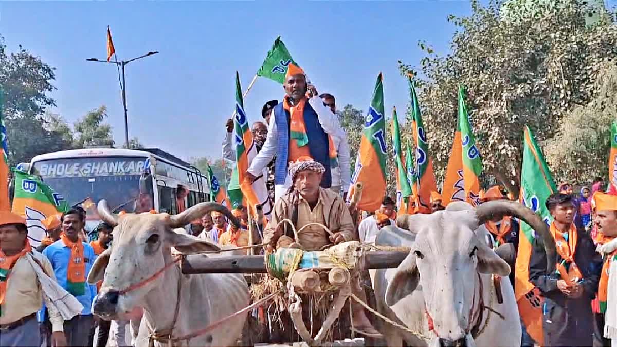 Lallan Paswan on bullock cart