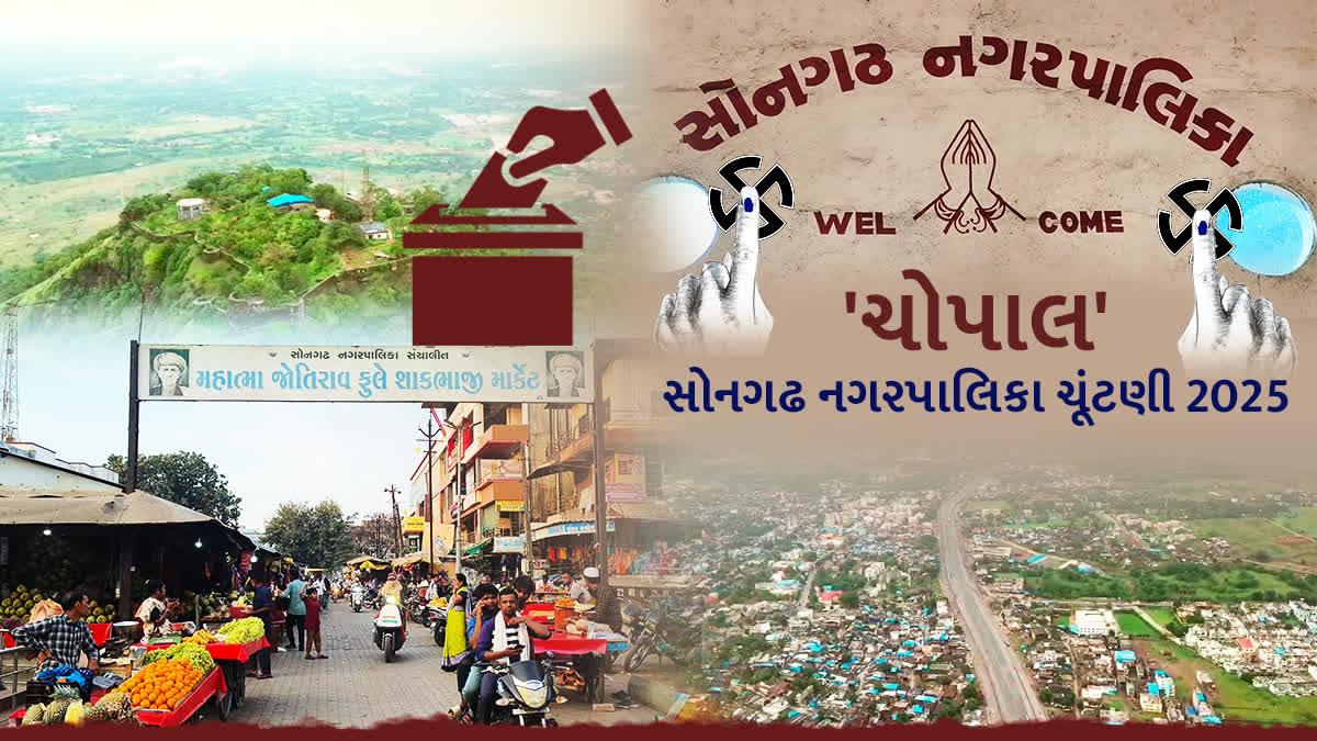 તાપીની સોનગઢ નગરપાલિકાની ચૂંટણી જાહેર