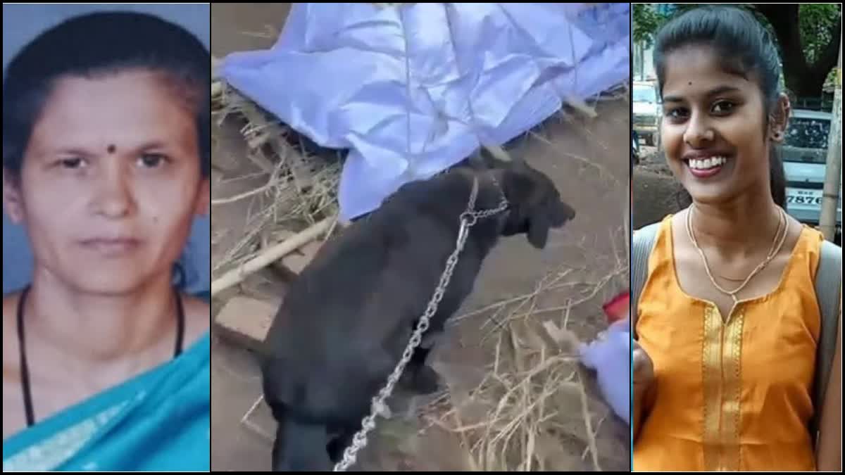 Died mother and daughter and Dog tears in front of bodies